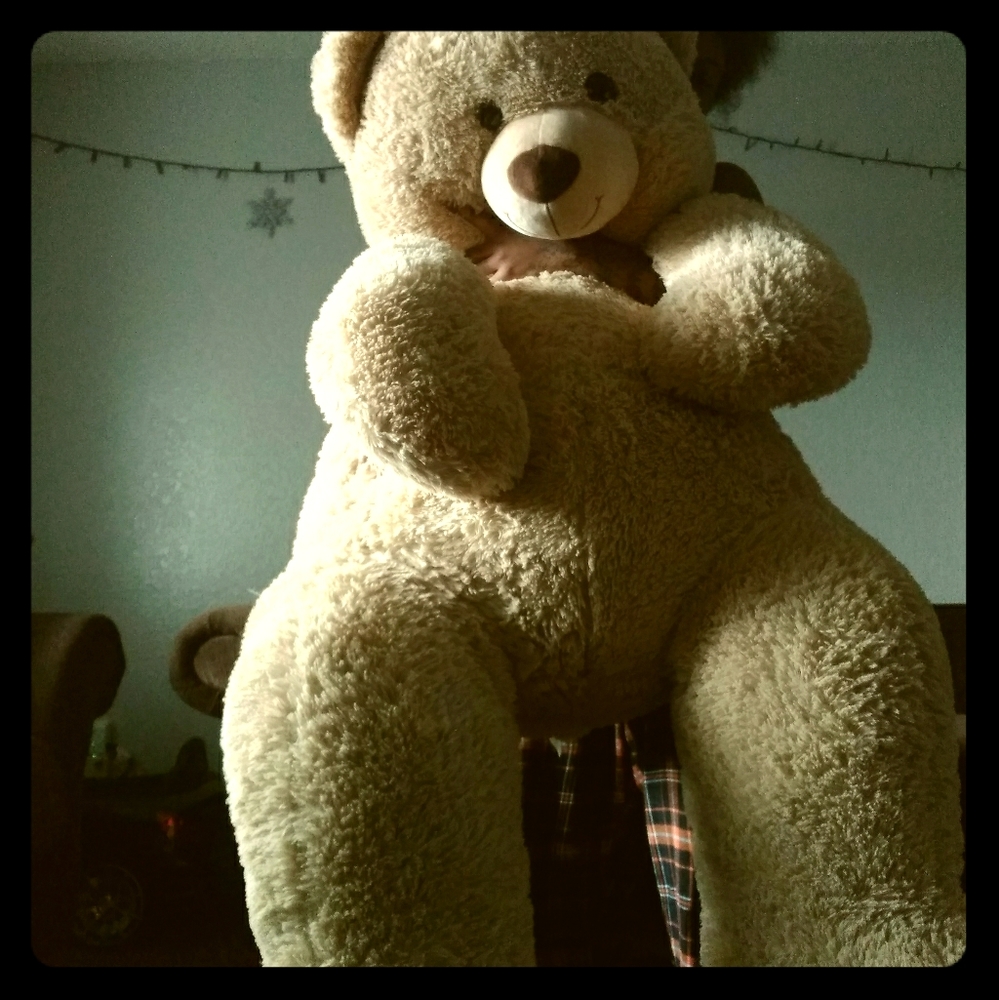 A full size huge teddy bear
